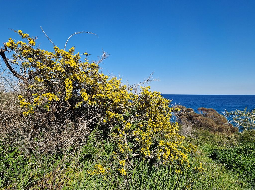 Cape Greco, Cyprus