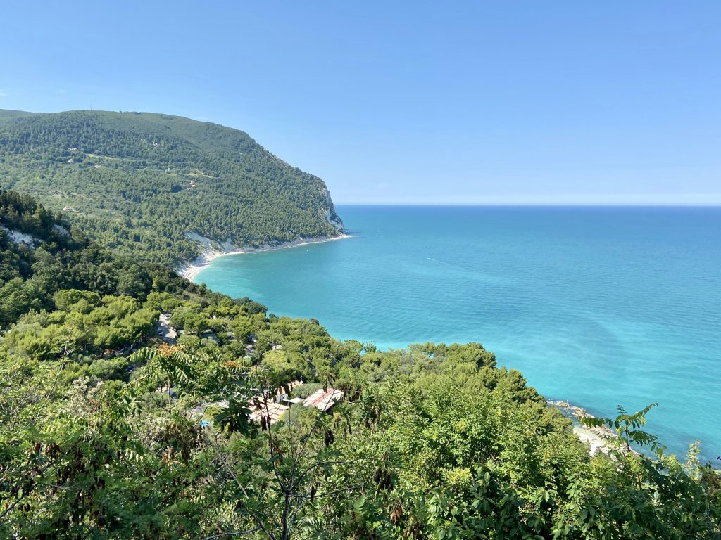 green trees near blue sea under blue sky during daytime