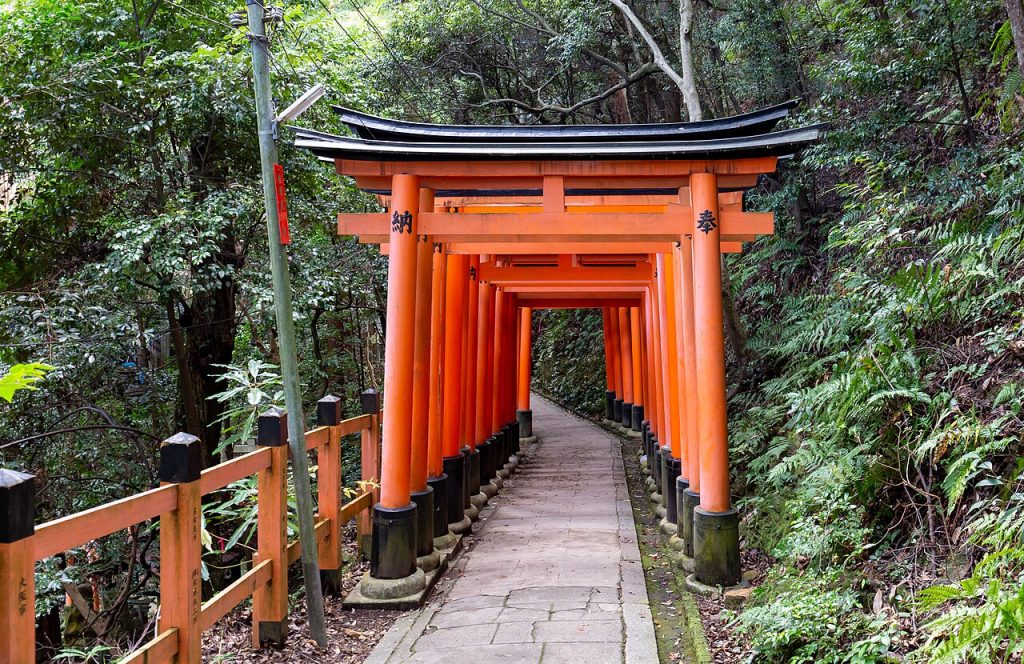 The torii of Fushimi Inari, Kyoto