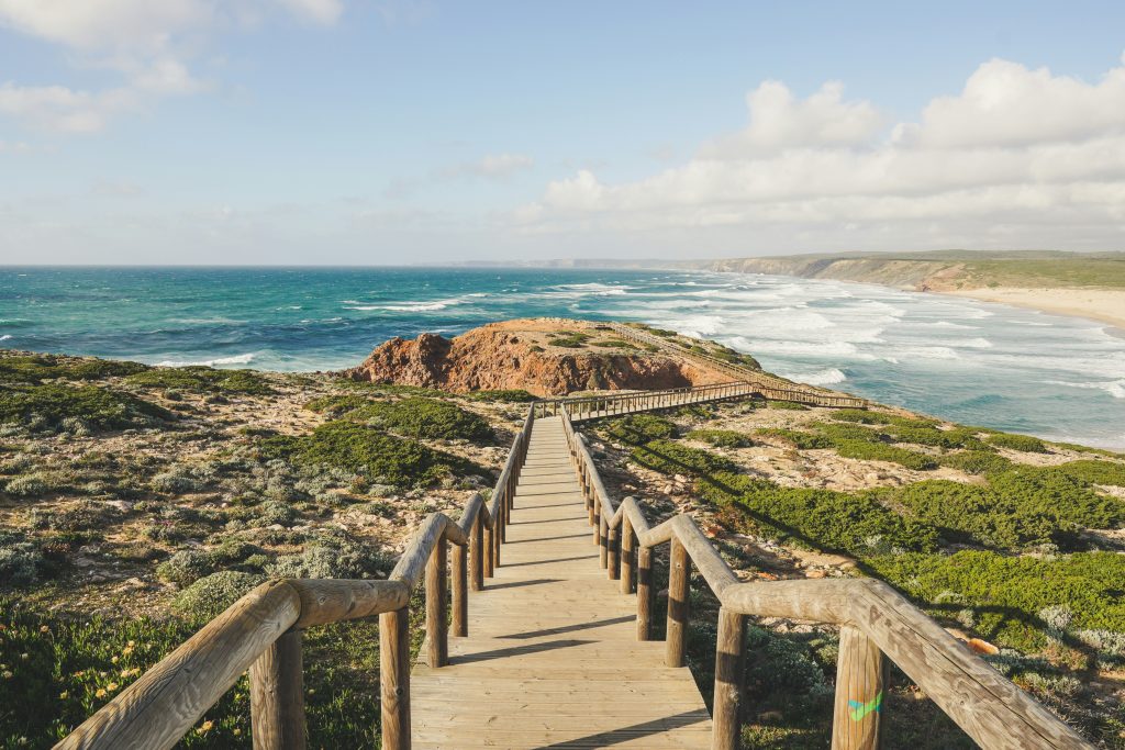 photography of seashore during daytime