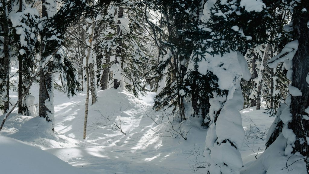 A person riding a snowboard down a snow covered slope