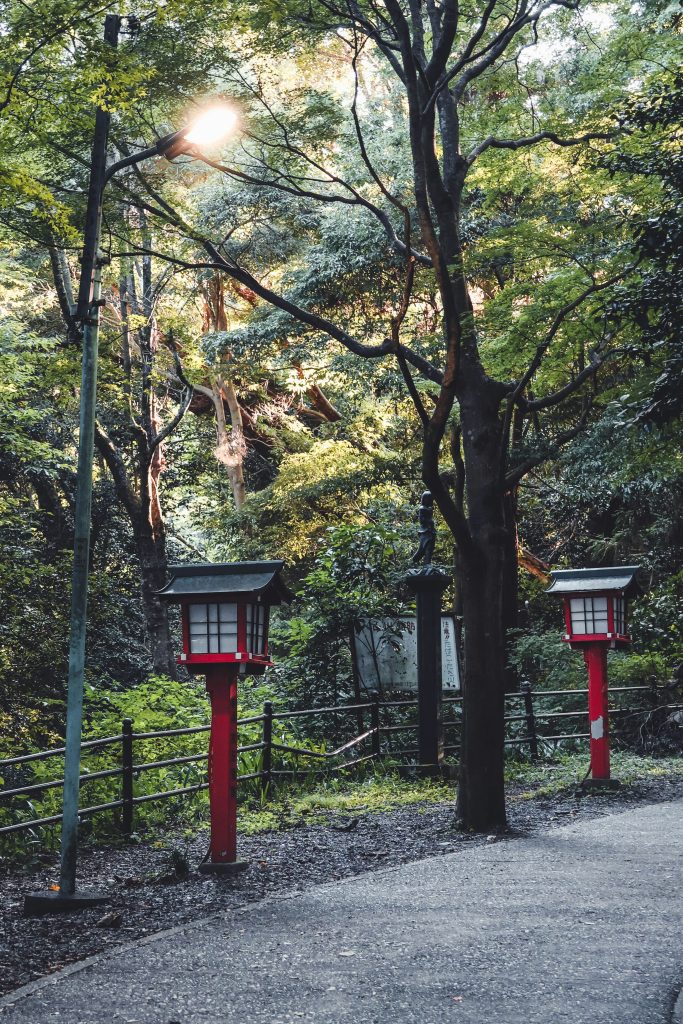 a couple of red lanterns sitting in the middle of a forest