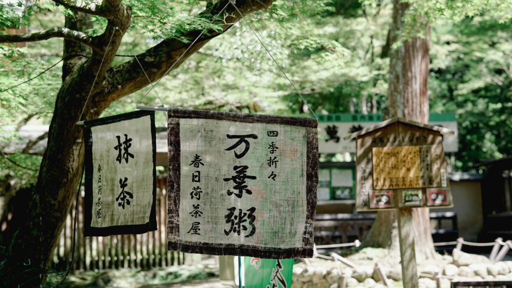 a couple of signs hanging from the side of a tree