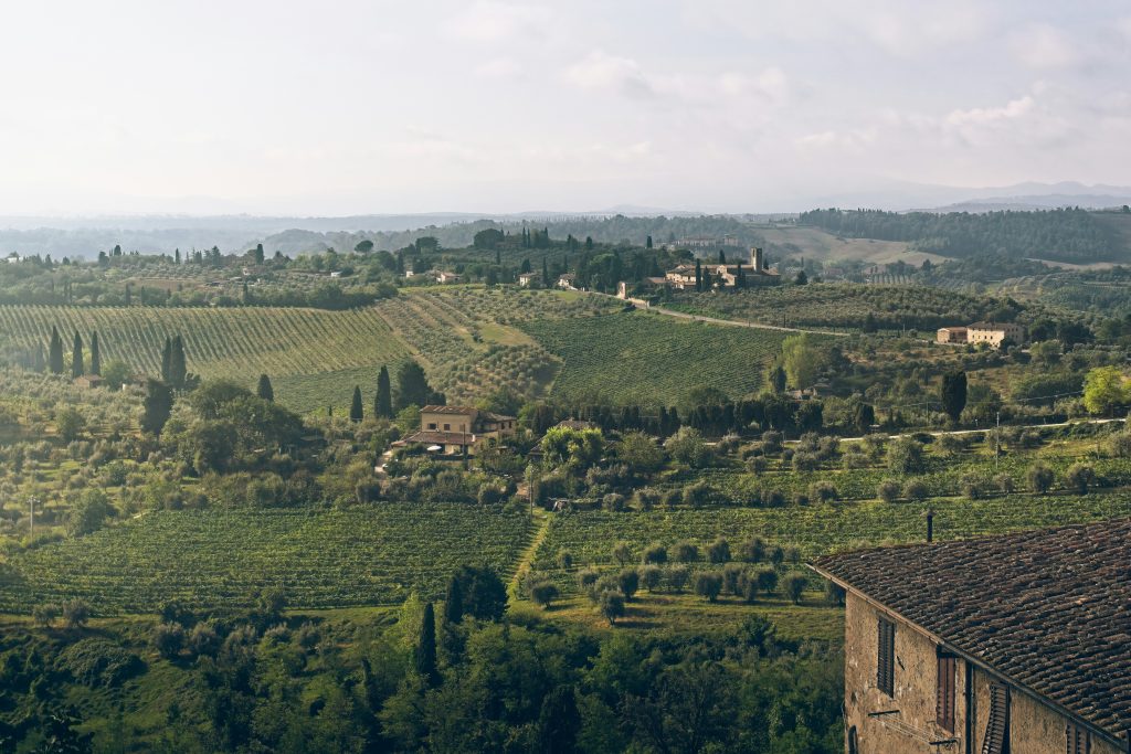 a landscape with trees and buildings