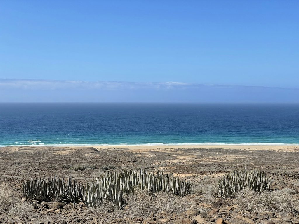 a view of a beach and the ocean from a hill