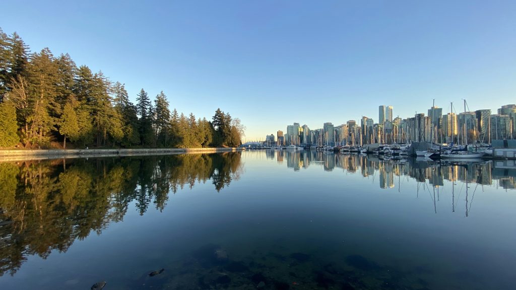 body of water near trees and buildings during daytime