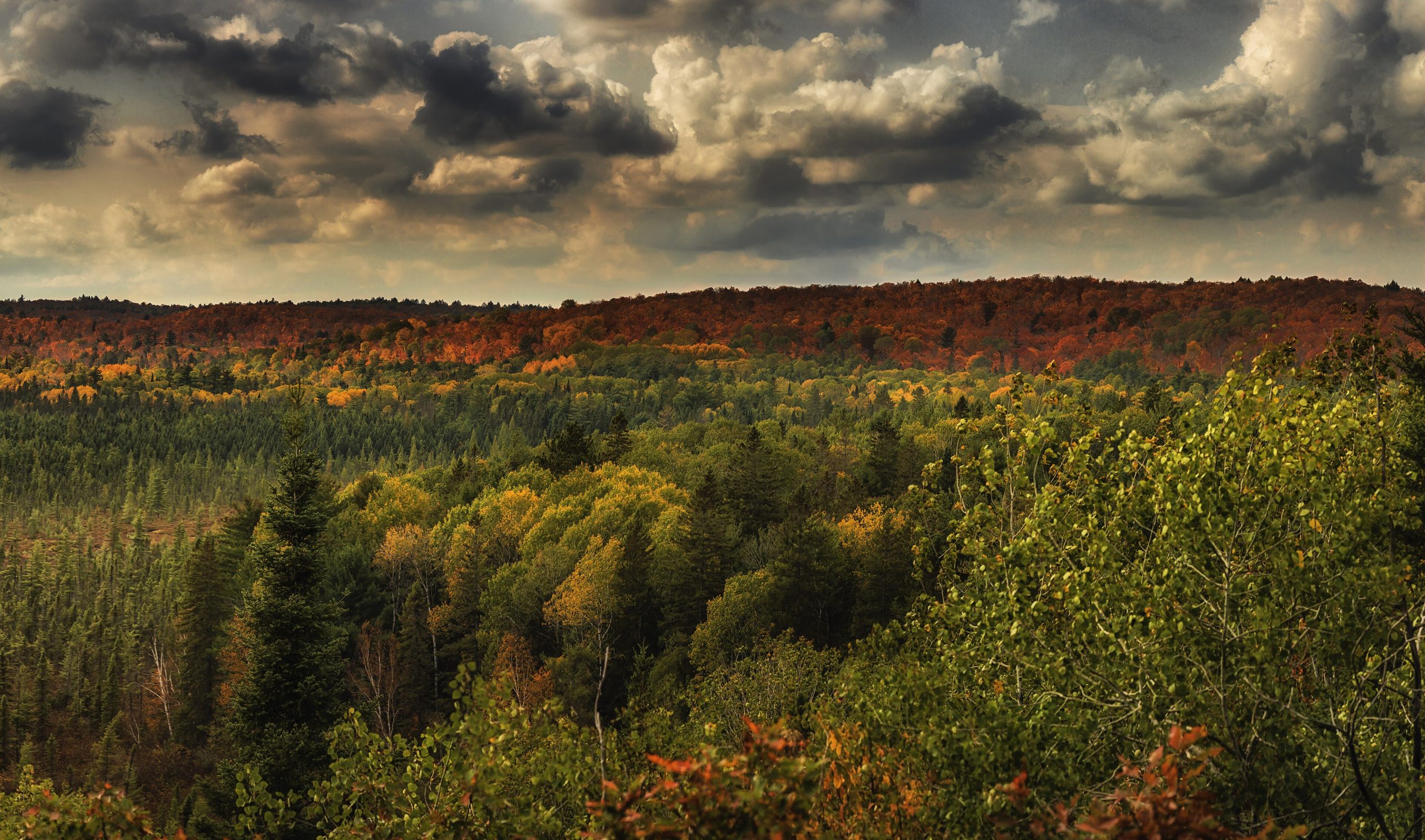 Fall foliage in Canada