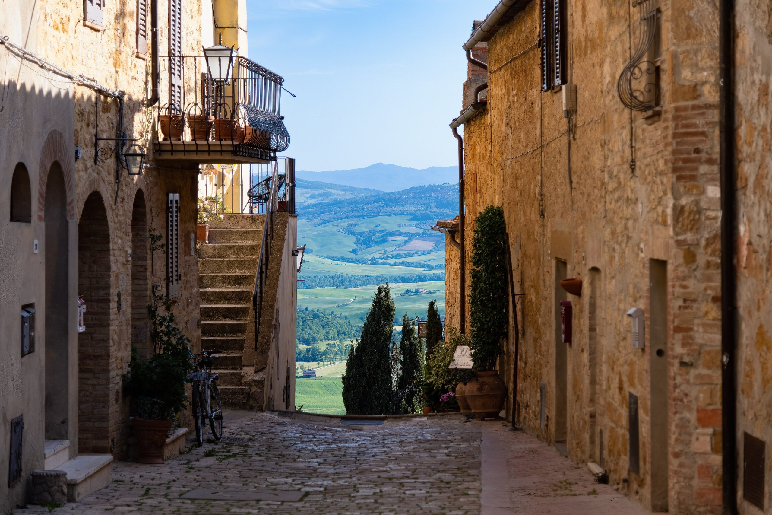 A Tuscan vineyard at harvest time