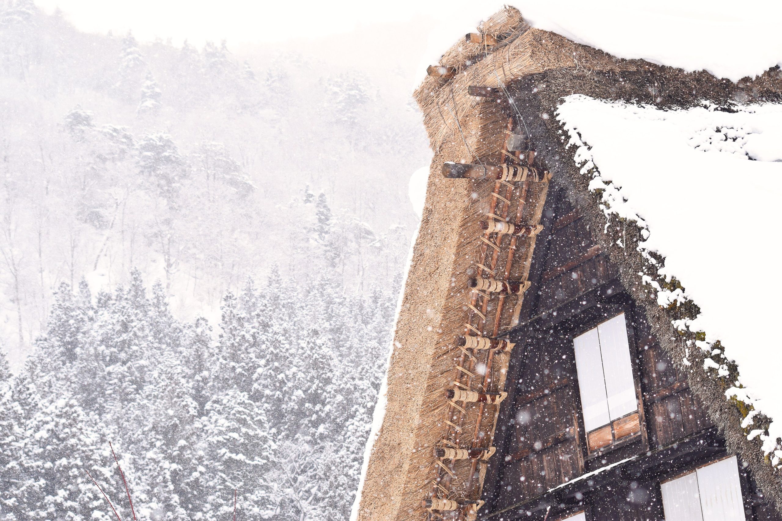 The thatched farmhouses of Shirakawa-go, Japan