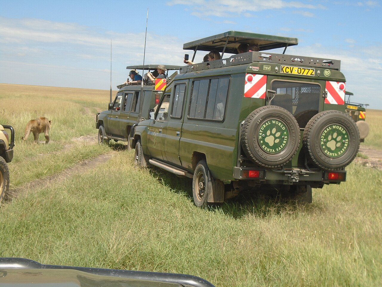 Wildlife on the Masai Mara, Kenya