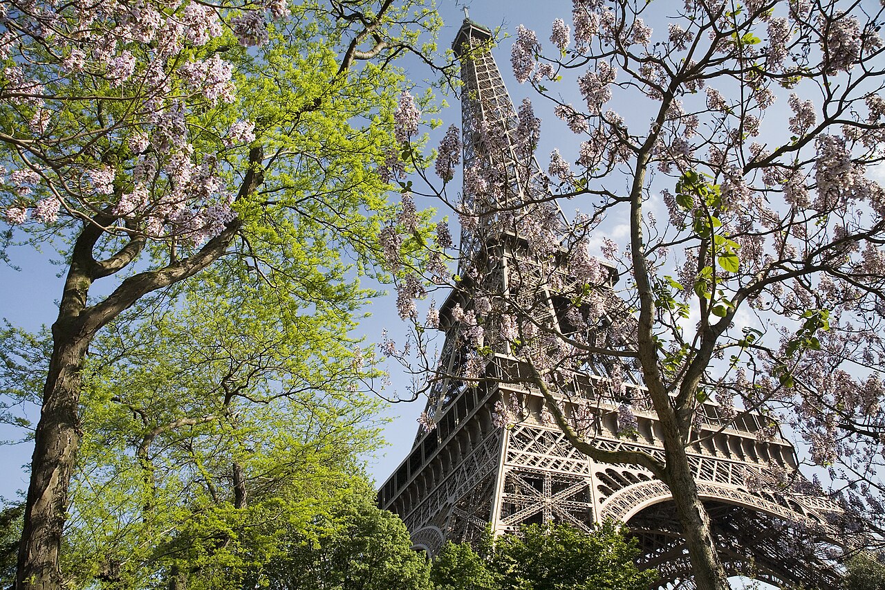 The Eiffel Tower, Paris