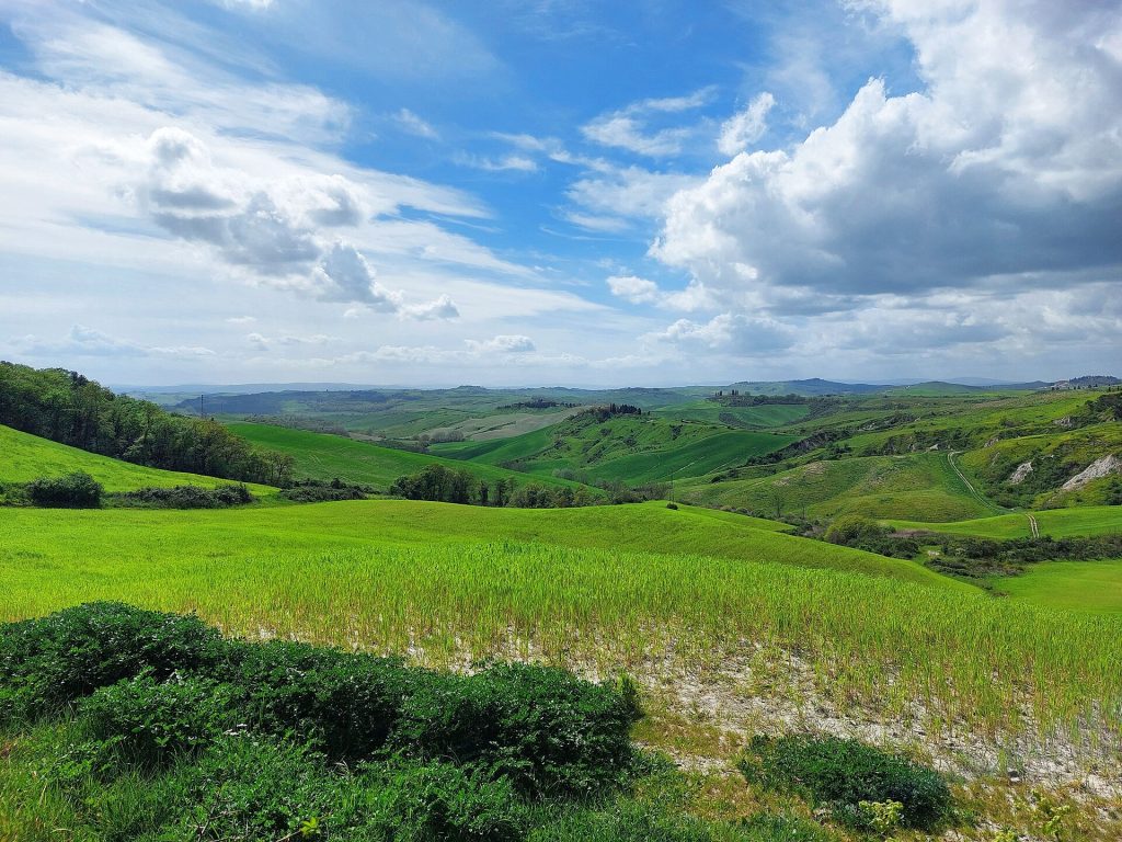 Spring poppies in the Tuscan hills