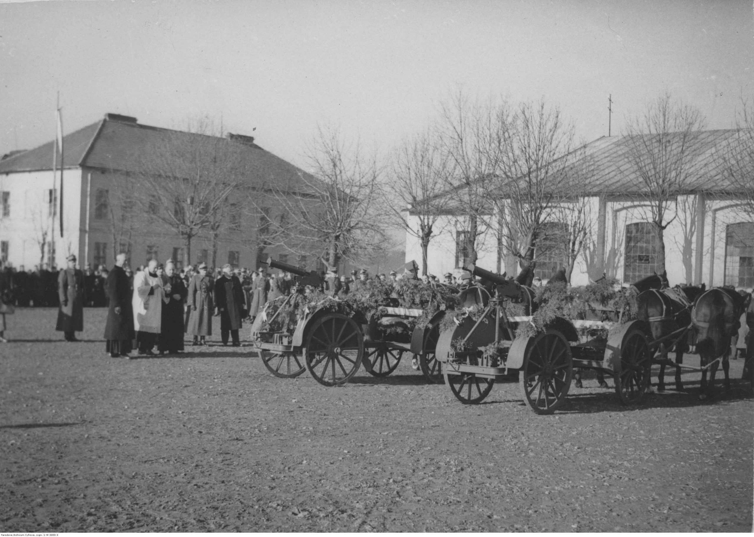 bird's eye view of town
