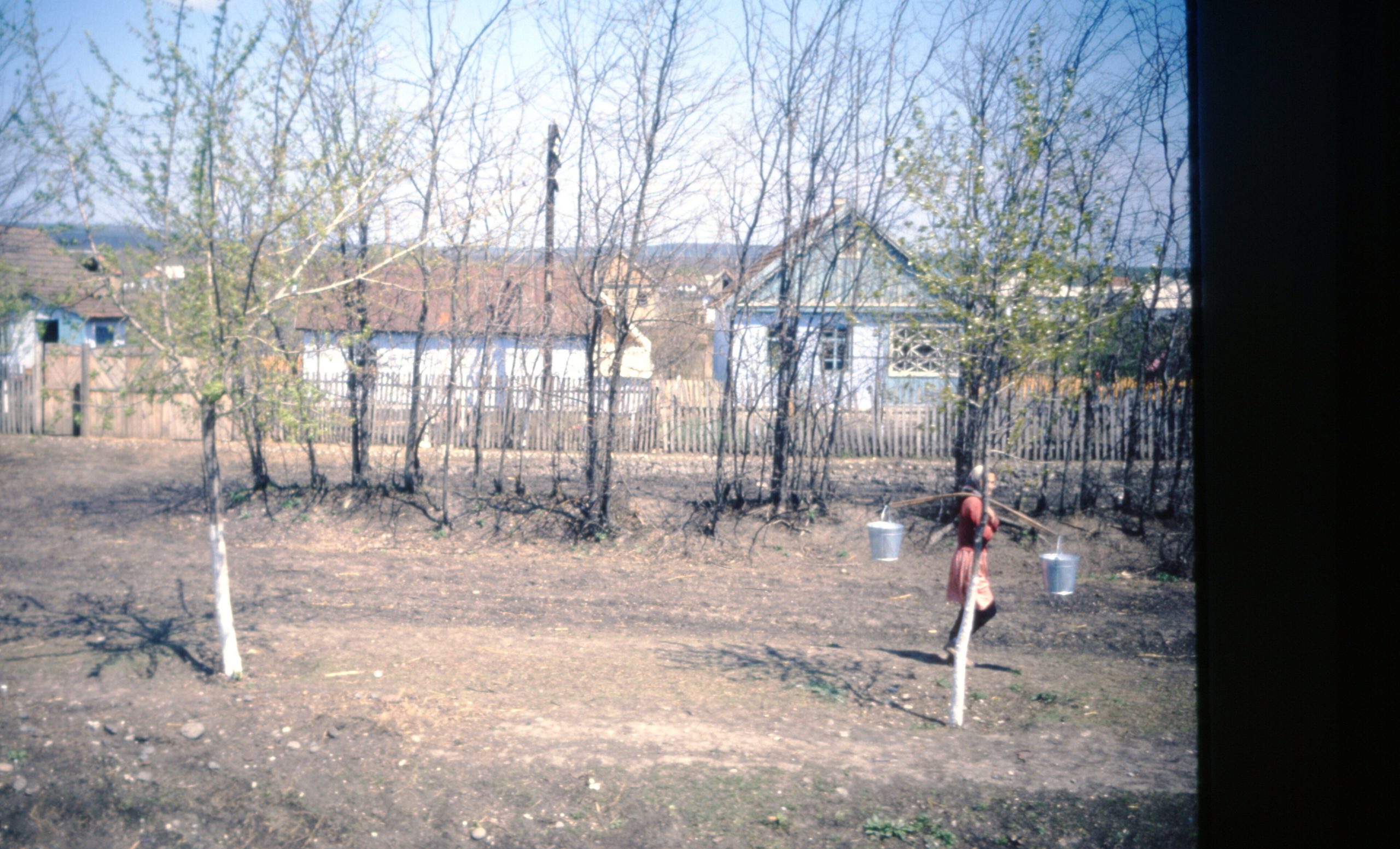 shallow focus photography of people inside of passenger plane