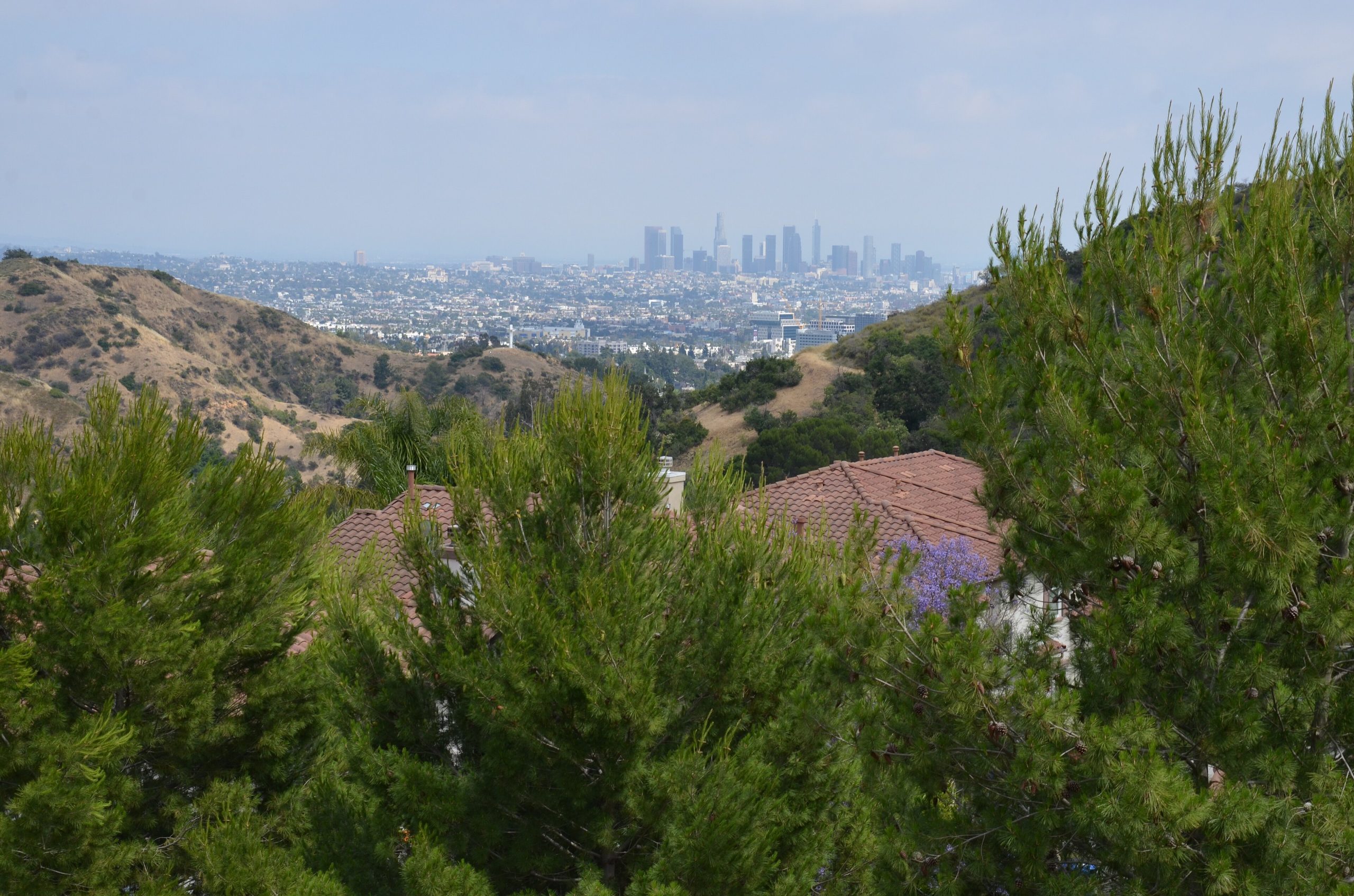 Skyline downtown Los Angeles