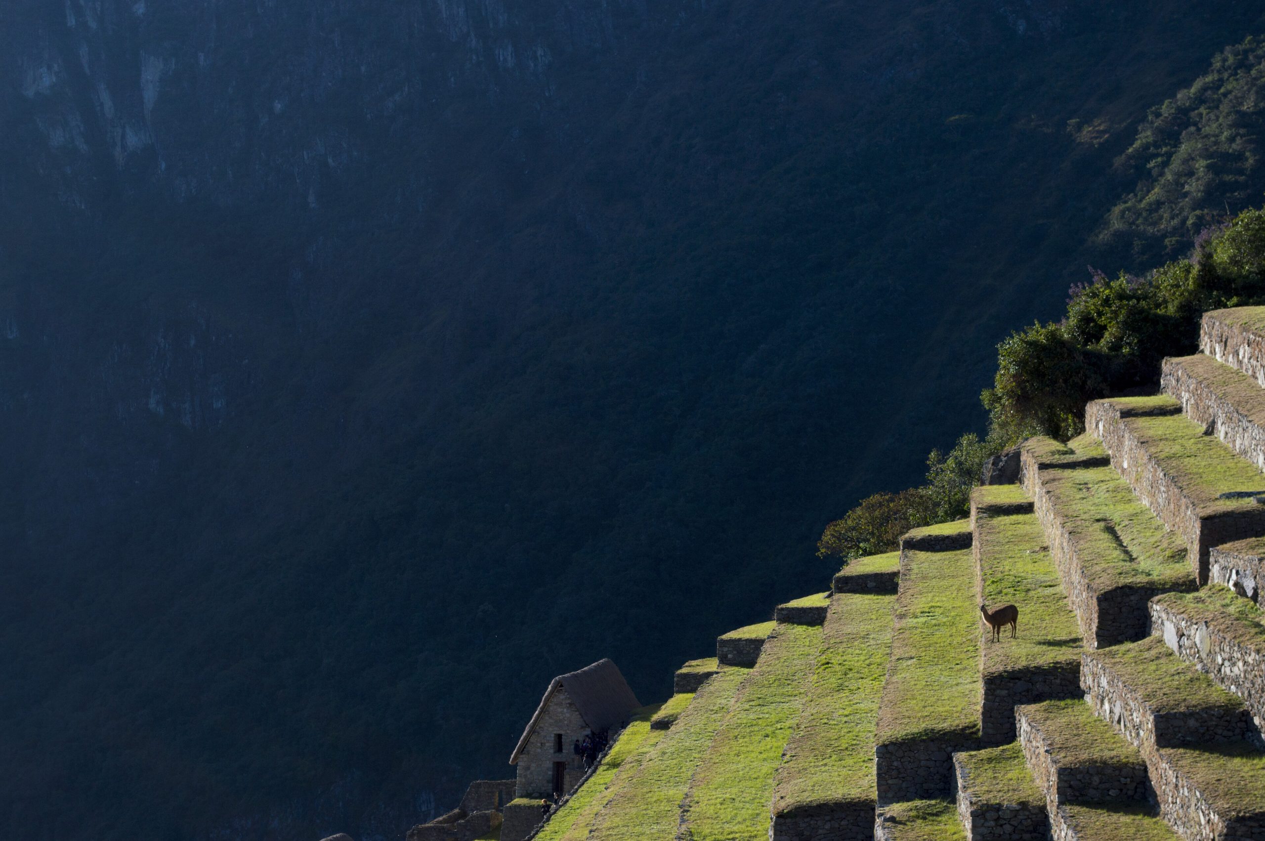 Machu Picchu, Peru