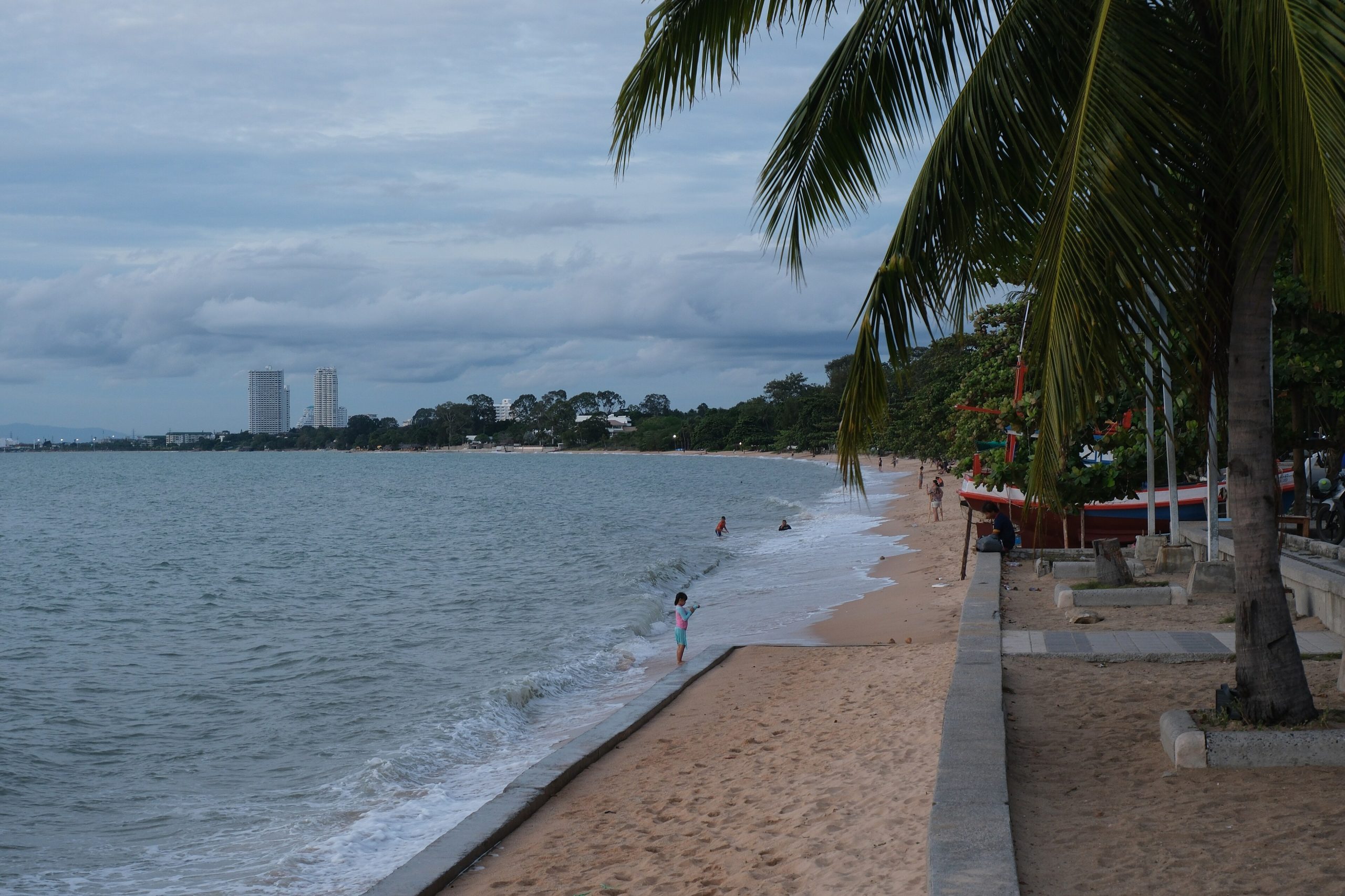 A tropical beach with palm trees