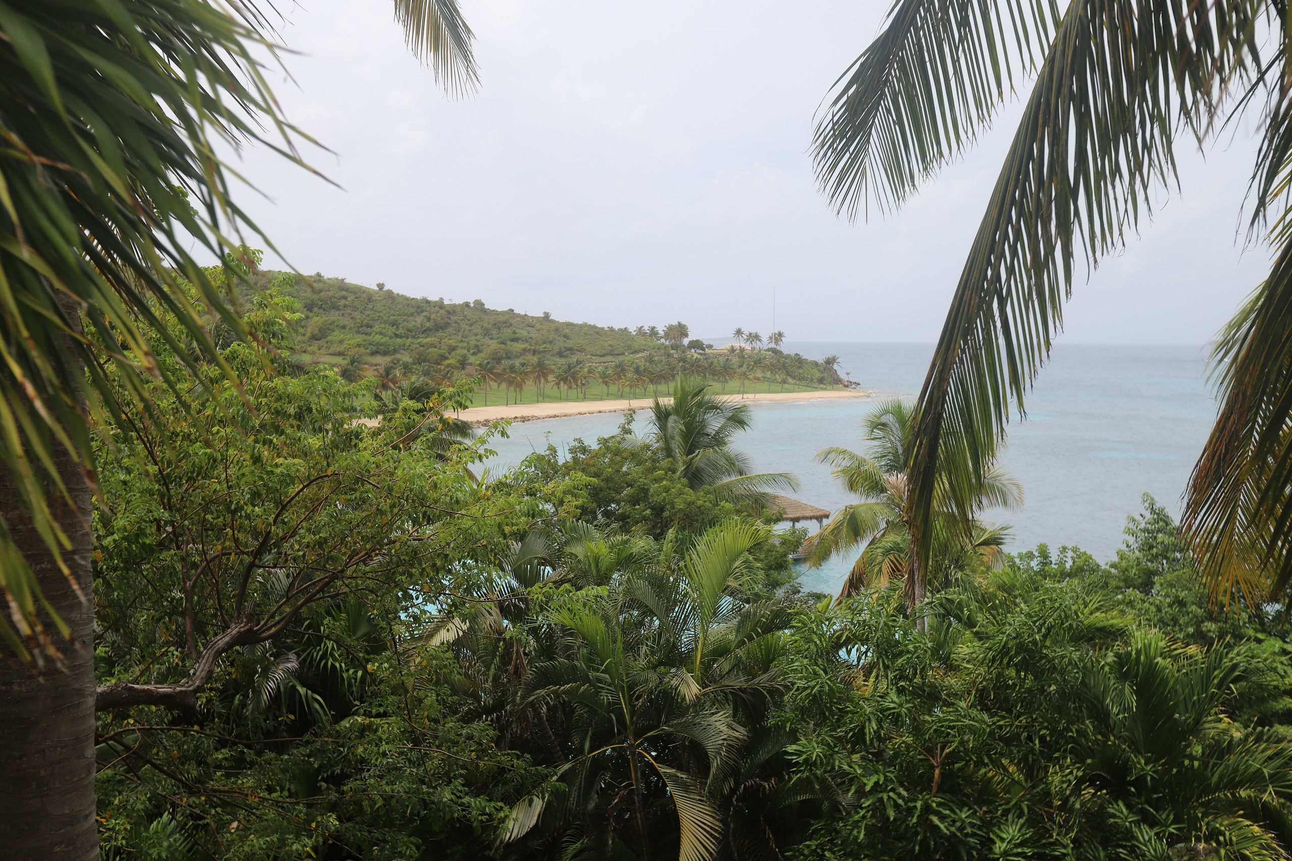 A tranquil tropical beach